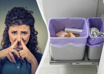 Щіпку прямо на дно відра – і сміття більше не буде смердіти: що потрібно засипати