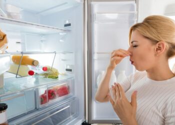 Запах у холодильнику зникне сам: ось що потрібно покласти всередину