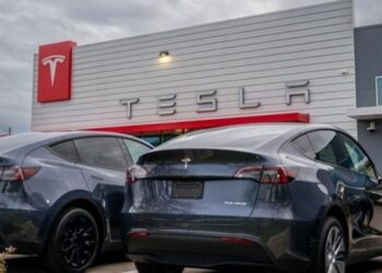 Продажі Tesla у Європі падають 13-й місяць поспіль