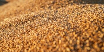 Україна скоротила експорт агропродукції у січні