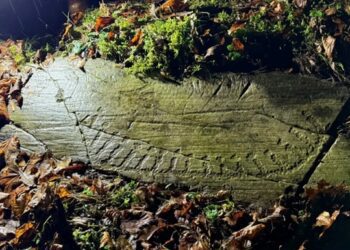 У Норвегії знайшли 3000-річні наскельні різьблення доби бронзи