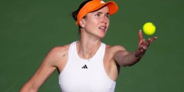 Світоліна в півфіналі турніру в Дубаї