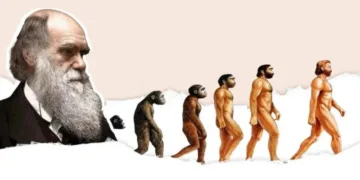 Чи справді людина походить від мавпи: що каже наука у День Дарвіна. Пояснюємо