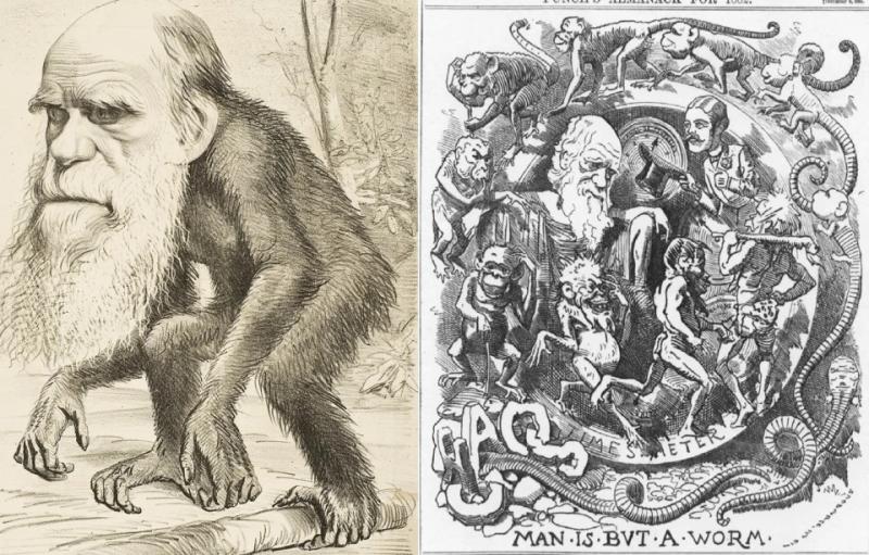 Чи справді людина походить від мавпи: що каже наука у День Дарвіна. Пояснюємо