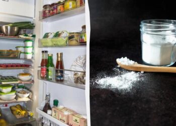 Як прибрати запах у холодильнику без хімії: потрібні всього 2 компоненти