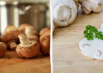 Як приготувати ідеальні смажені печериці: 4 “золоті” правила