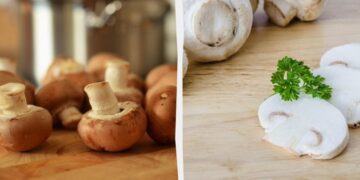 Як приготувати ідеальні смажені печериці: 4 “золоті” правила