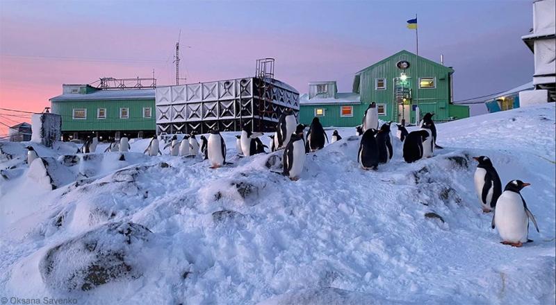 Як Україна стала частиною Антарктики: Академіку Вернадському &ndash; 30 років