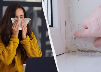 Копійчана добавка для тіста виявилася смертельною для цвілі: як прибрати грибок за годину