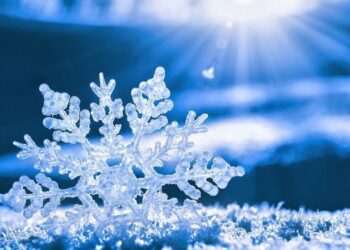 На початку тижня синоптики прогнозують на Сумщині нічні морози до -25°