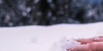 На Сумщині односельці знайшли тіло загиблого чоловіка