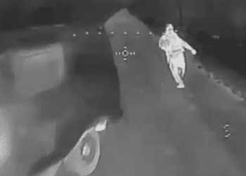 На Сумщині прикордонники ефектно знищили два авто та живу силу ворога (ВІДЕО)