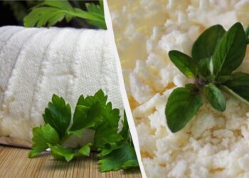 Не тільки цукор: що додати в сир, якщо він занадто кислий