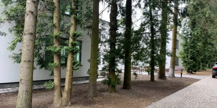 дома для перстарелых