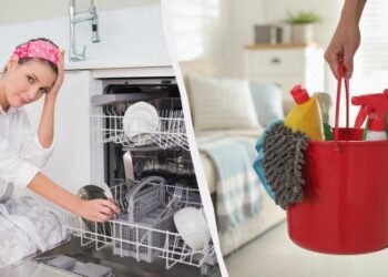 Потрібен лише один натуральний засіб: як прибрати тухлий запах з посудомийної машини