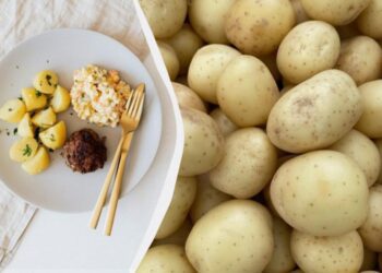 Варена картопля буде ніжною і розсипчастою: що потрібно додати у воду – і це не сіль