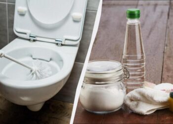З оцтом чистити унітаз простіше простого: “злізає” навіть багаторічний наліт