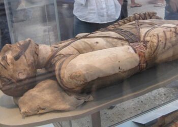 У муміях Стародавнього Єгипту знайшли канабіс, кокаїн і нікотин