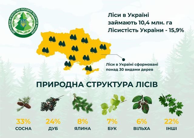 21 БЕРЕЗНЯ – МІЖНАРОДНИЙ ДЕНЬ ЛІСІВ: ЛІСИ ГОДУЮТЬ, ЛІКУЮТЬ І ЗАХИЩАЮТЬ