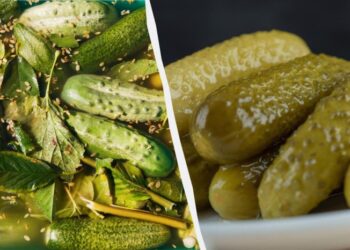 Будуть хрустіти, наче свіжі: яких помилок слід уникати під час квашення огірків