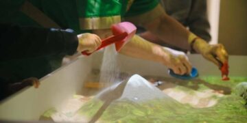 У Сумському обласному центрі комплексної реабілітації вже понад місяць діти займаються з новою інтерактивною пісочницею, – голова ОВА