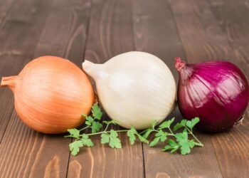 Головна відмінність між білою та червоною цибулею: як не помилитися у виборі