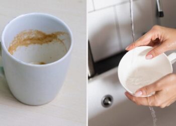Як відмити чашку від чаю та кави: бабусин “трюк” видаляє наліт за лічені хвилини