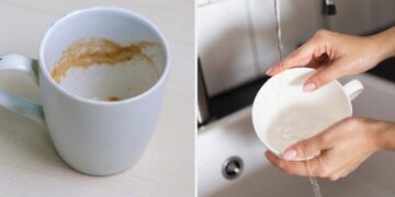 Як відмити чашку від чаю та кави: бабусин “трюк” видаляє наліт за лічені хвилини