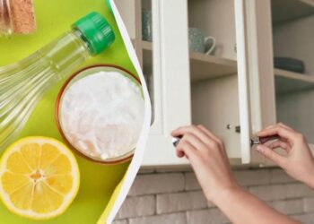 Кухонні шафки можна очистити від жиру звичайною содою: як це правильно зробити