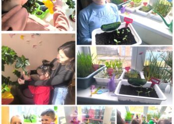 Маленьке диво природи