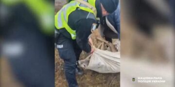 На Охтирщині поліцейські врятували косулю, яка заплуталася в колючому дроті