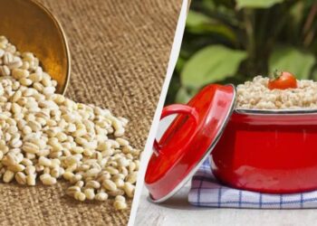 Старий “дідівський” спосіб варіння перловки без замочування: багато хто про нього забув