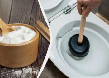 Звичайна кухонна сіль розчинила засмічення в унітазі за 10 хвилин: скільки треба насипати
