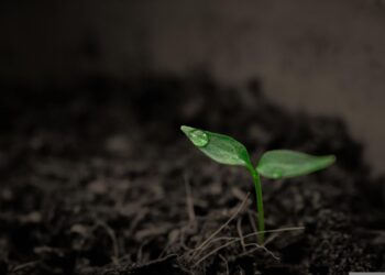 Суперкомп’ютер NASA назвав приблизну дату кінця життя на Землі