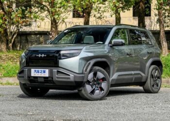 Які електромобілі частіше купували українці у березні