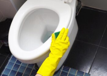 Багаторічний наліт просто “зліз” з унітазу: допомогла домашня суміш із 3 речовин