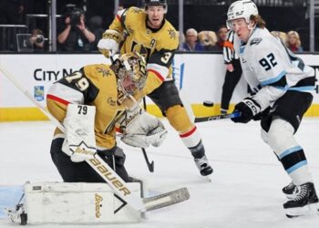 НХЛ: Вегас не втримався проти Юти