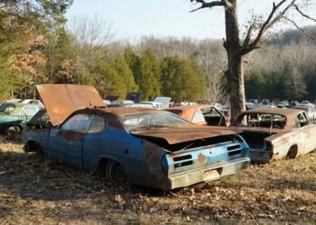 Раритети просто неба: виявлено величезну секретну колекцію ретроавто (ВІДЕО)