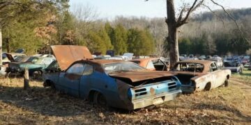 Раритети просто неба: виявлено величезну секретну колекцію ретроавто (ВІДЕО)