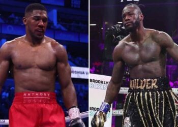 Девід Хей спрогнозував, хто переможе в бою Джошуа – Вайлдер