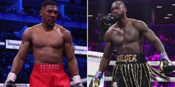 Девід Хей спрогнозував, хто переможе в бою Джошуа – Вайлдер