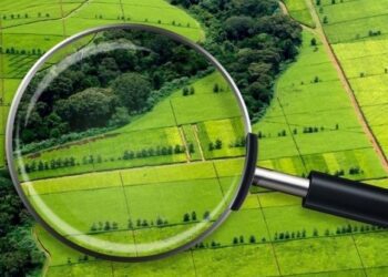 ДО УВАГИ СУБ’ЄКТІВ ОЦІНОЧНОЇ ДІЯЛЬНОСТІ