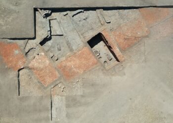 У Туреччині знайшли хліб бронзової доби