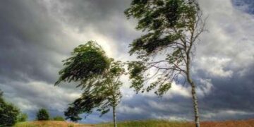 На Сумщині оголошено жовтий рівень небезпеки через сильний вітер