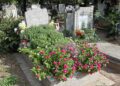Названо найкращі рослини для могили: посадили один раз і забули – квітнуть самі