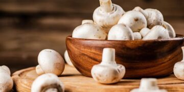 Тиждень будуть свіжими: фермерка розкрила трюк, що допоможе зберегти гриби