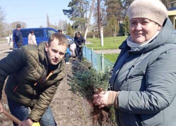У Бочечківській громаді висадили понад 150 кущів лаванди та фруктові дерева