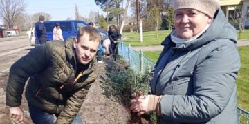 У Бочечківській громаді висадили понад 150 кущів лаванди та фруктові дерева