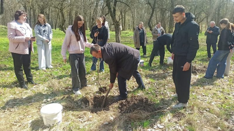 У Бочечківській громаді висадили понад 150 кущів лаванди та фруктові дерева