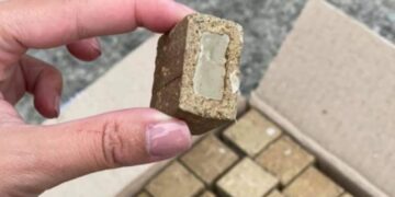 У громадах Конотопського району проведуть імунізацію диких тварин проти сказу